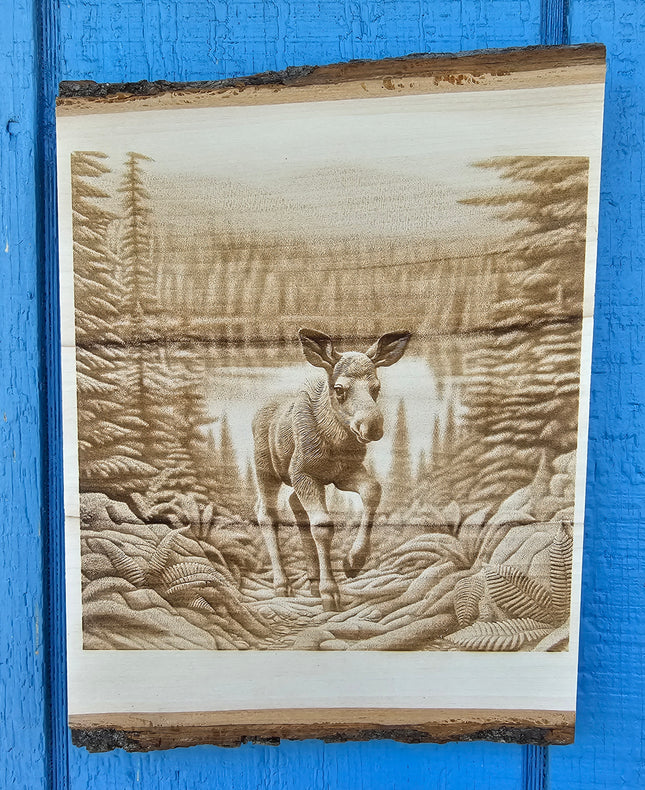 Live Edge 3d Illusion Laser Etching - Baby Moose