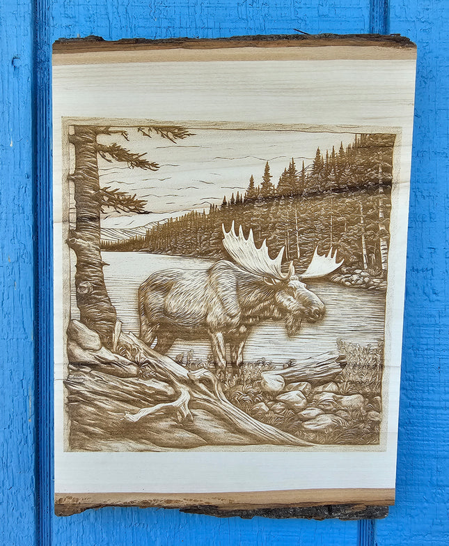 Live Edge 3d Illusion Laser Etching - Adult Moose