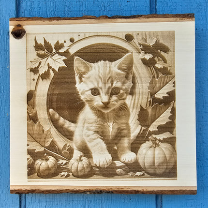 Live Edge, 3D Illusion, Laser Engraving - Fall Kitten