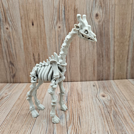 3D Printed Flexible Safari Animal Skeletons