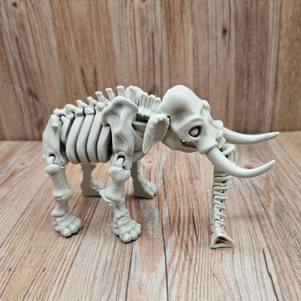 3D Printed Flexible Safari Animal Skeletons
