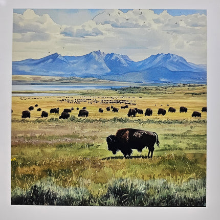 Optional Transparent Lantern Scenes