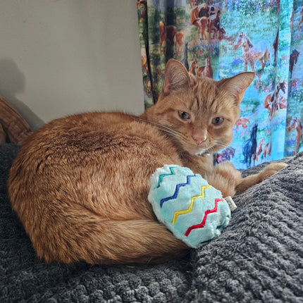 Tucker the cat with his easter egg