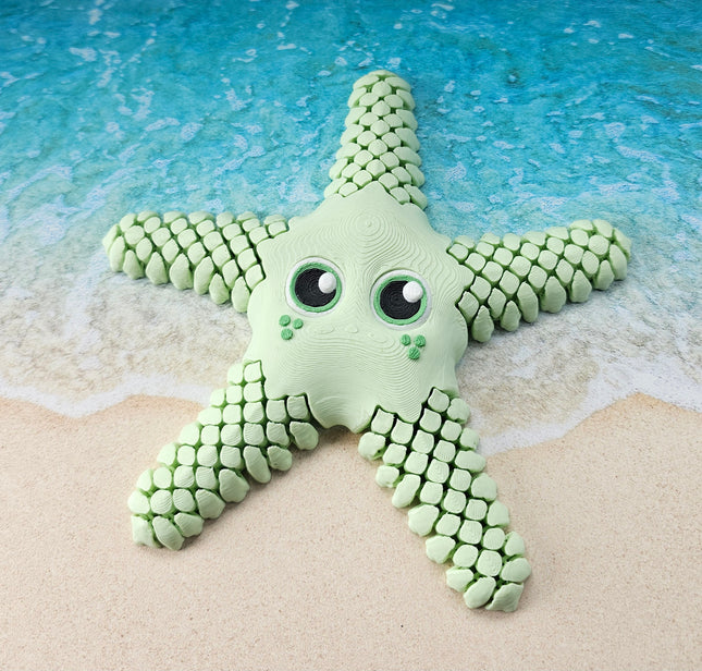 3D Printed Sea Star, Articulated, 2 Color Options
