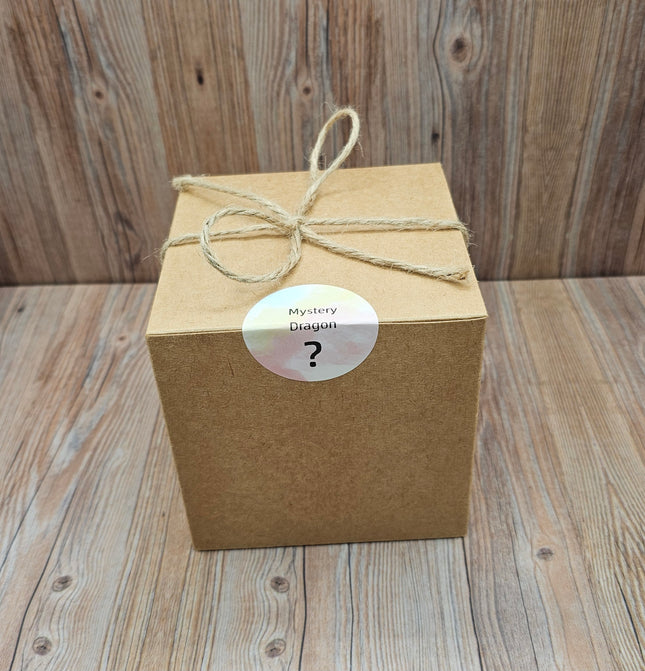Mystery Dragon Box