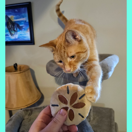 Plush Ocean Themed Cat Toys With Catnip & Silvervine