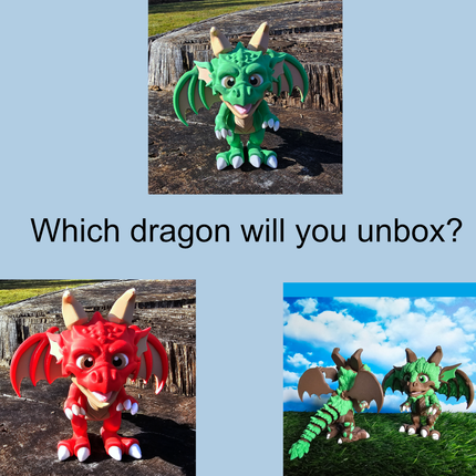 Mystery Dragon Box