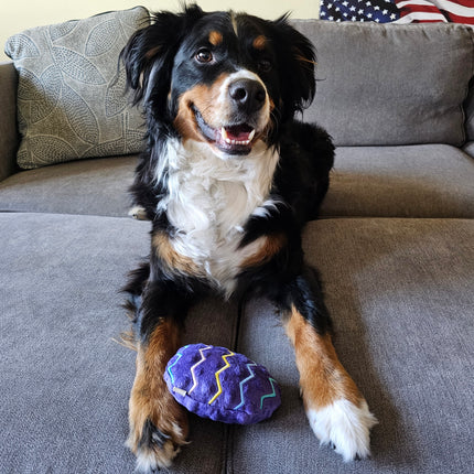 Dog on a couch with a plush, purple easter egg toy