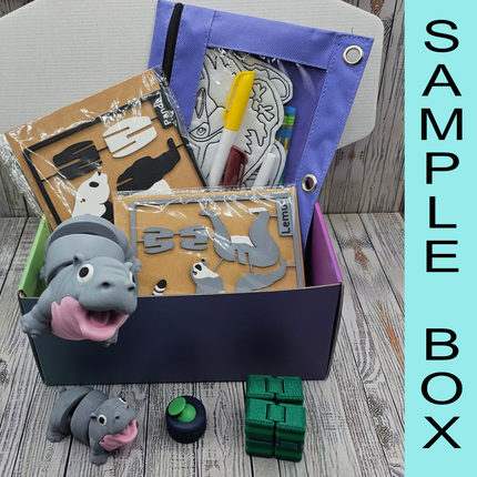 Mystery Rainy Day Activity Box