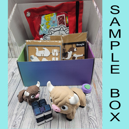 Mystery Rainy Day Activity Box